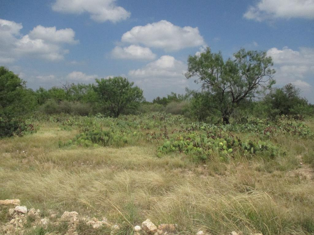 12012 Choctaw Ridge Paint Rock, TX 76866 - Photo 1 of 1 Main View