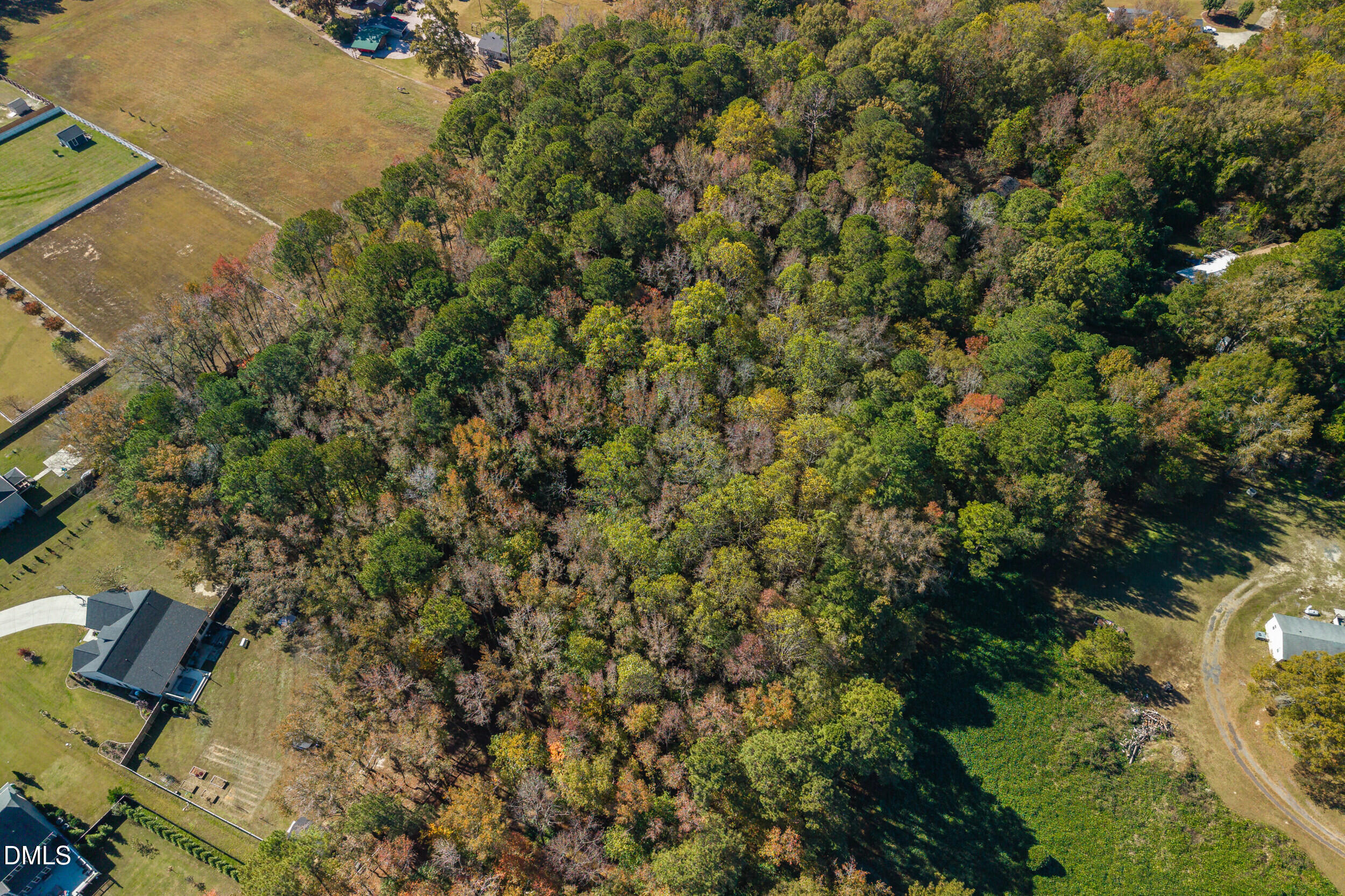 1200 Lake Wendell Road Wendell, NC 27591 - Photo 13 of 14 an outdoor space with lots of trees