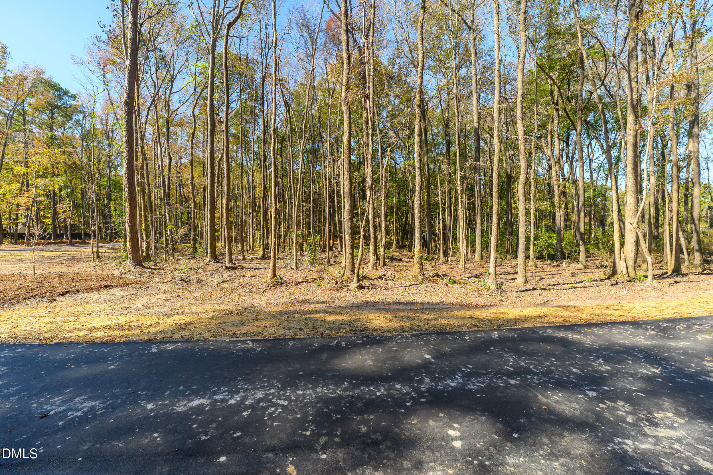 1200 Lake Wendell Road Wendell, NC 27591 - Photo 5 of 14 a view of a house with a yard
