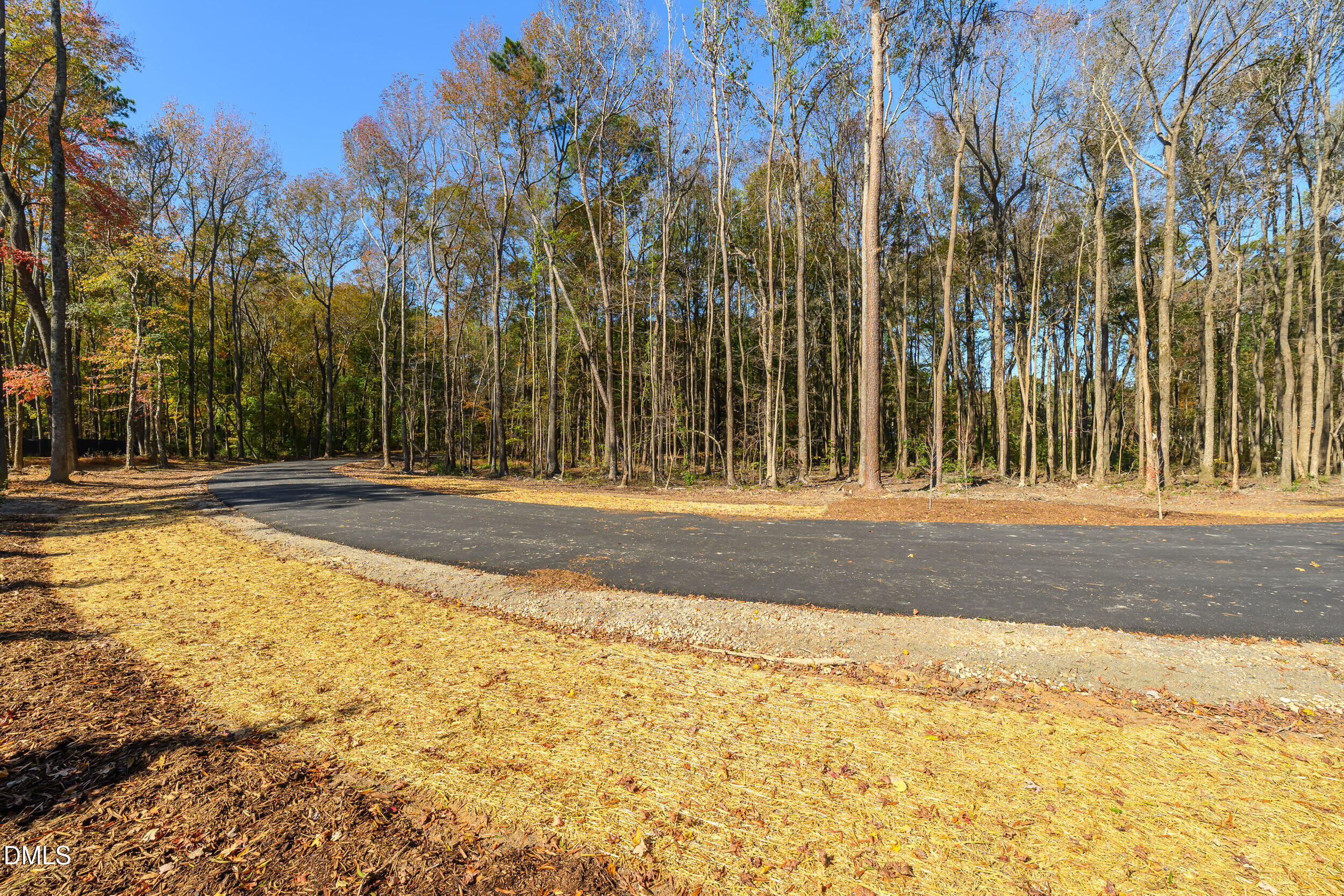 1200 Lake Wendell Road Wendell, NC 27591 - Photo 6 of 14 a view of backyard with palm trees