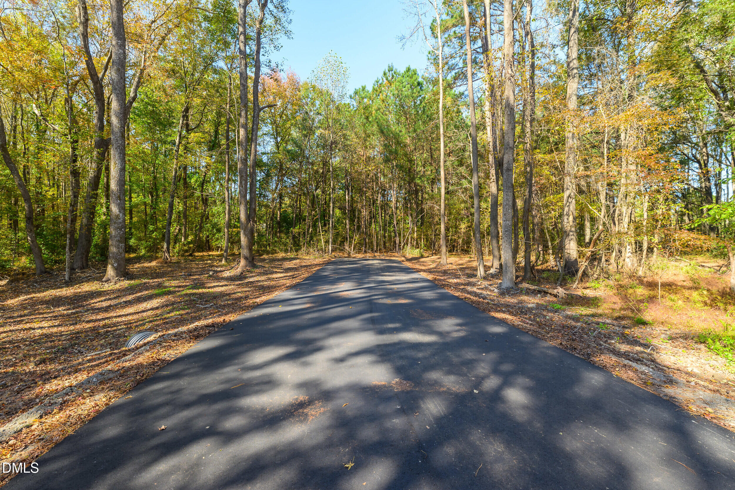 1200 Lake Wendell Road Wendell, NC 27591 - Photo 7 of 14 a view of a house with a trees