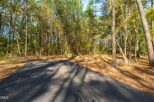 a view of a yard with trees