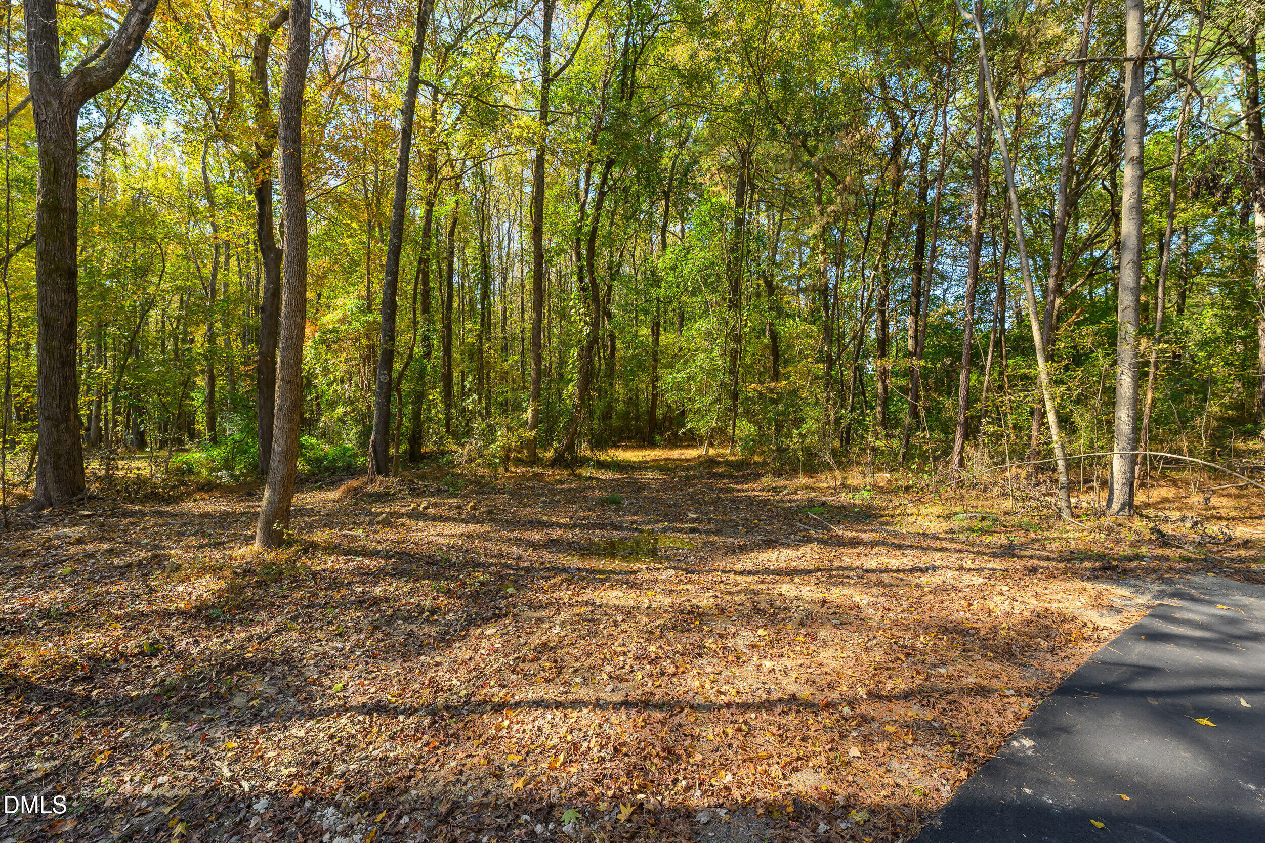1200 Lake Wendell Road Wendell, NC 27591 - Photo 9 of 14 a view of a yard with trees