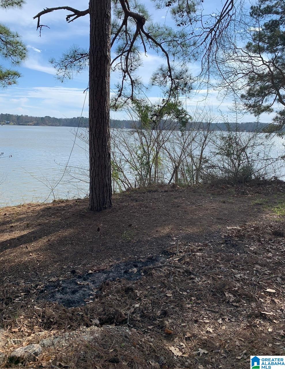 0 Lakeview Point, Unit 53 001 Riverside, AL 35135 - Photo 2 of 2
