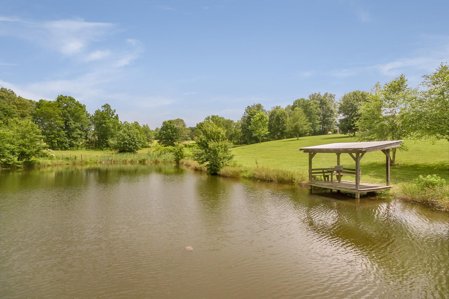 750 Jacks Branch Road Pikeville, TN 37367 - Photo 47 of 56 Pond w/ Dock