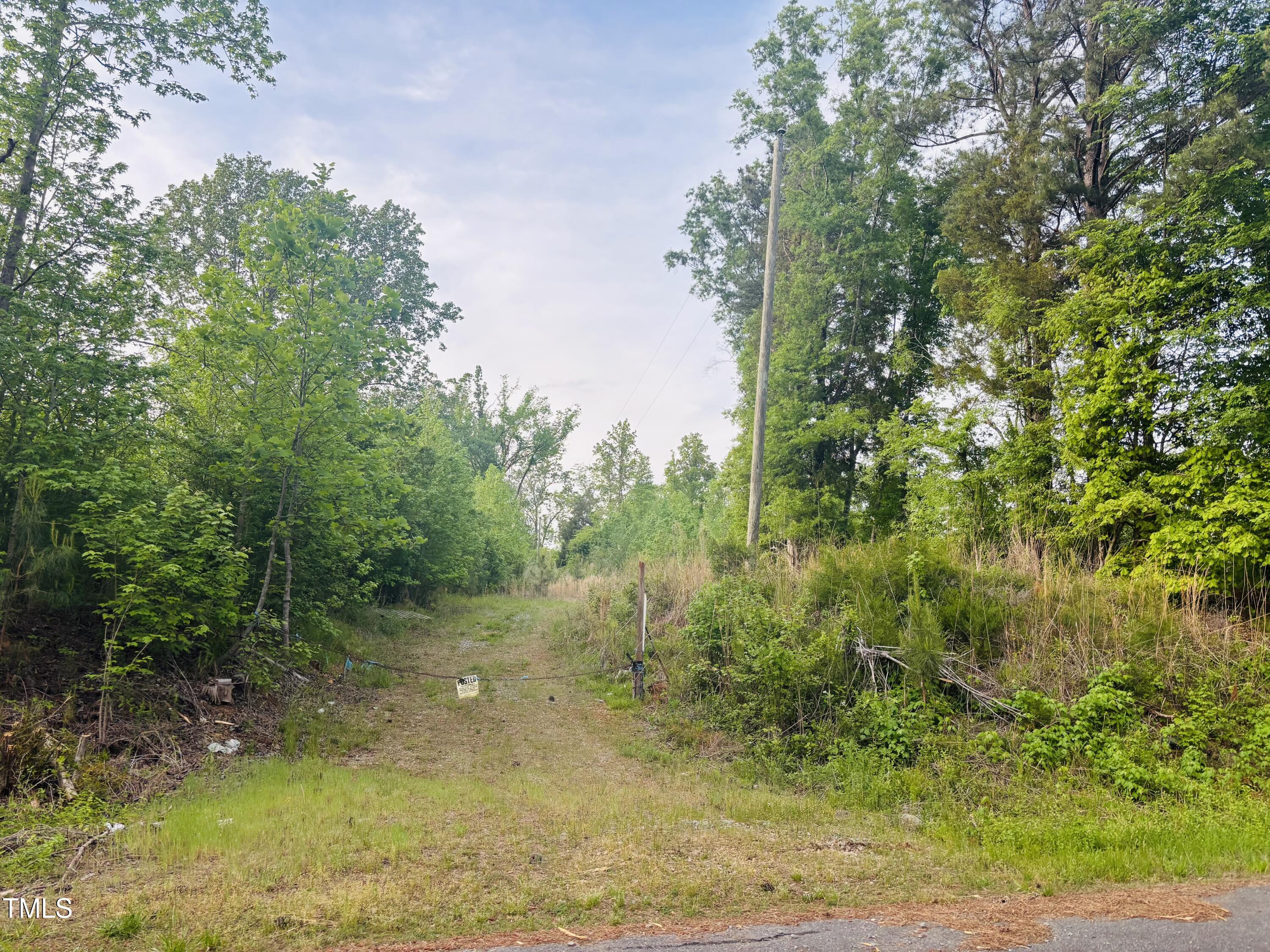 Tbd Tbd Alston Horton Service Road Pittsboro, NC 27312 - Photo 5 of 7 a view of a forest