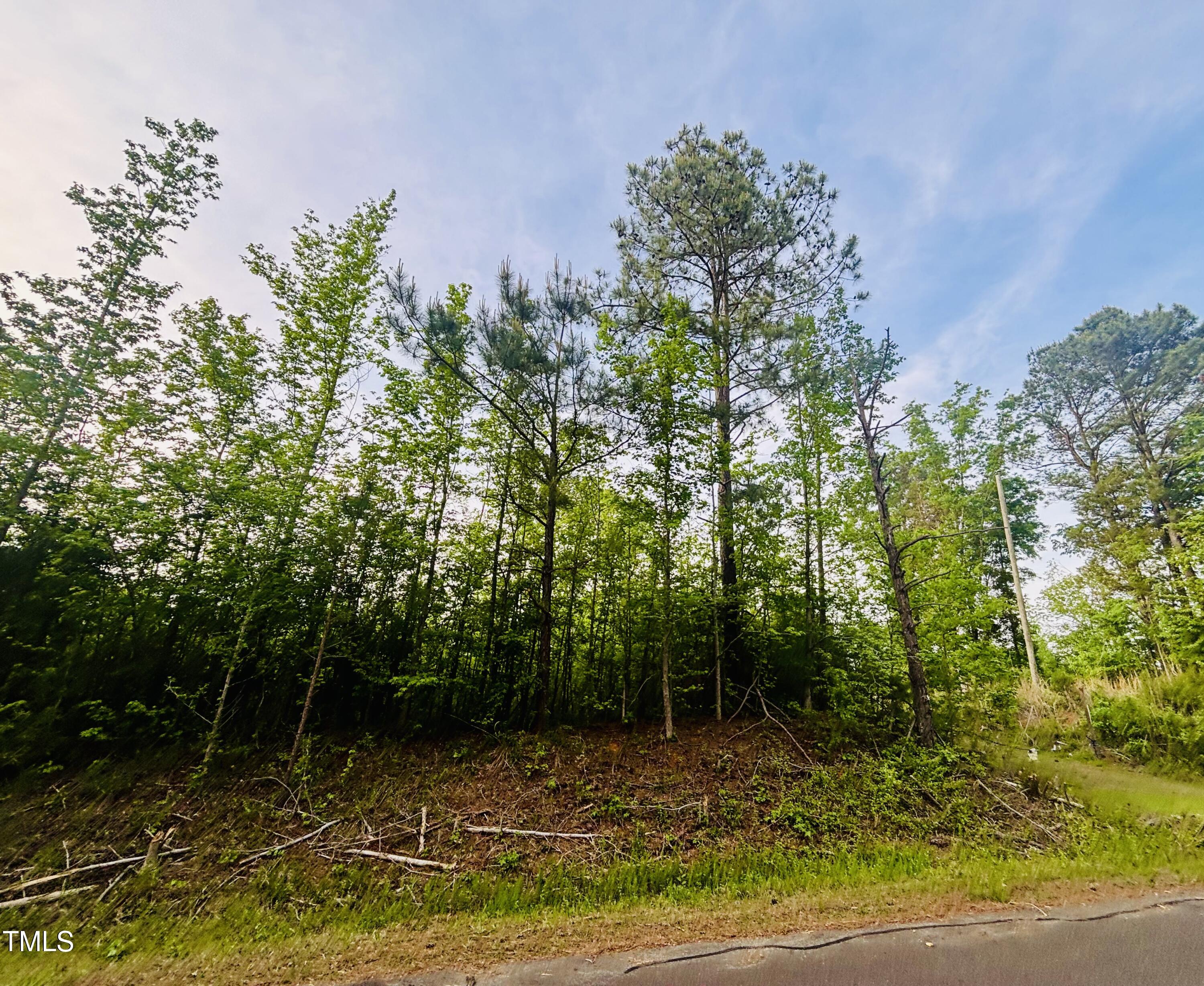 Tbd Tbd Alston Horton Service Road Pittsboro, NC 27312 - Photo 6 of 7 a view of a yard with plants and large trees