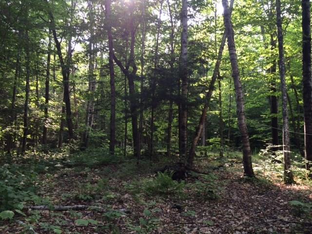 Lot 5 Burbank Hill Road Strong, ME 04983 - Photo 6 of 20 Photo