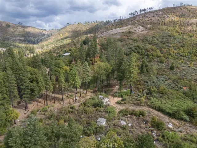 a view of a forest with trees in the background