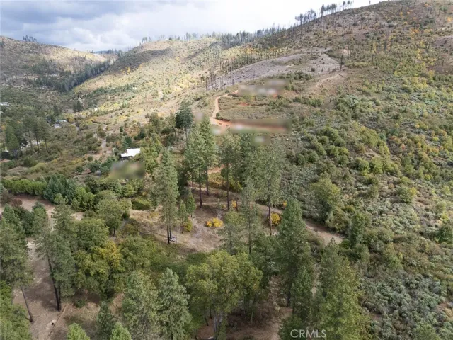 a view of a forest with a house