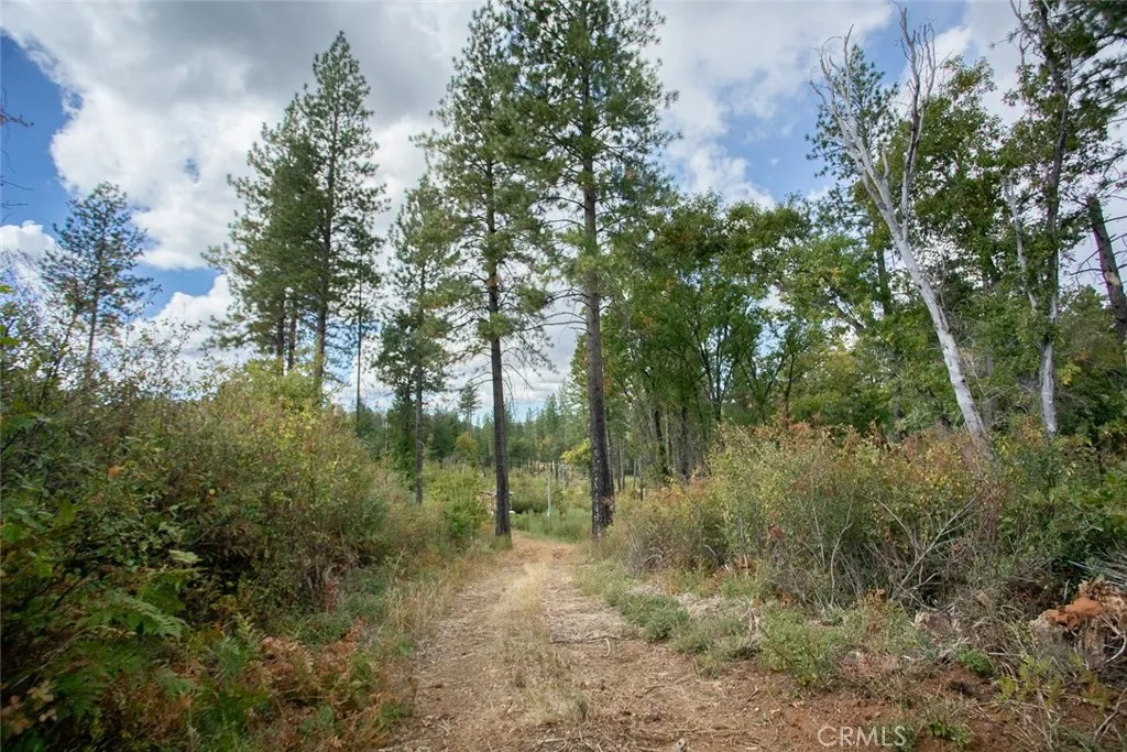 4023 Kakini Oroville, CA 95965 - Photo 14 of 54