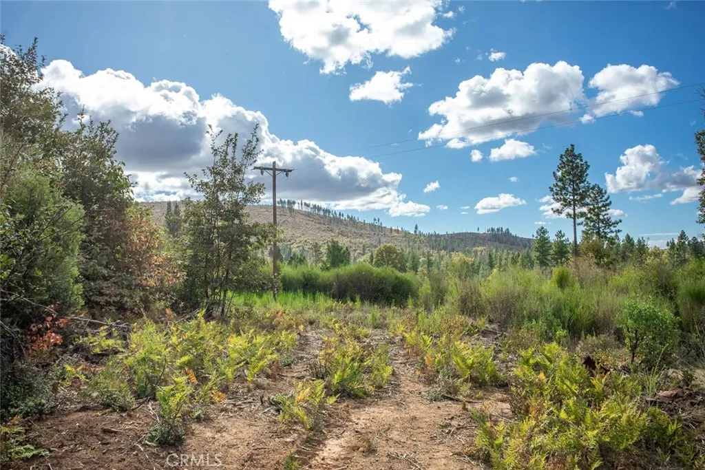 4023 Kakini Oroville, CA 95965 - Photo 17 of 54