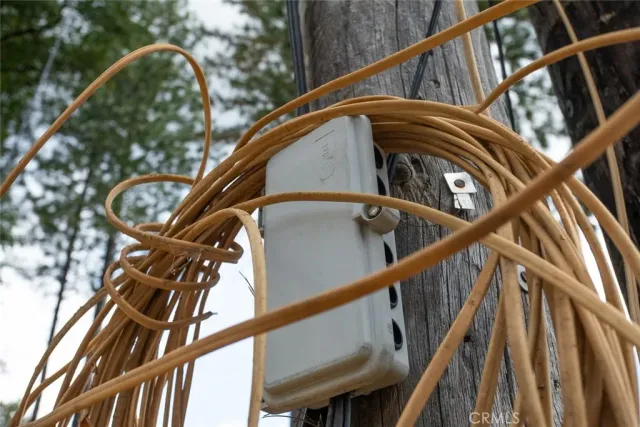 a view of swimming pool and trees