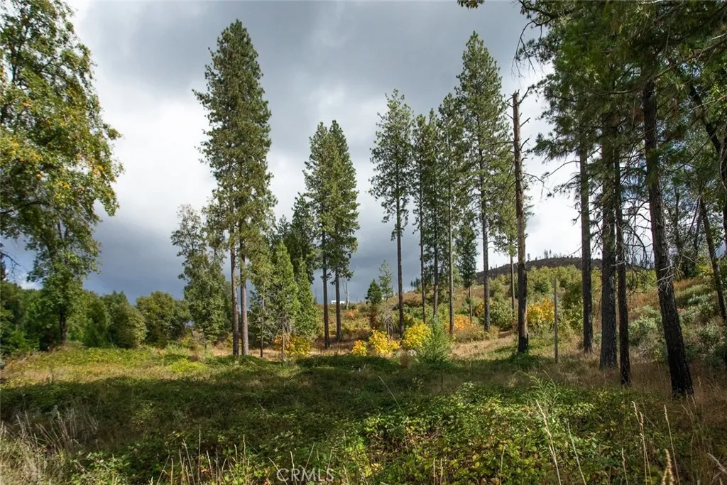 4023 Kakini Oroville, CA 95965 - Photo 19 of 54