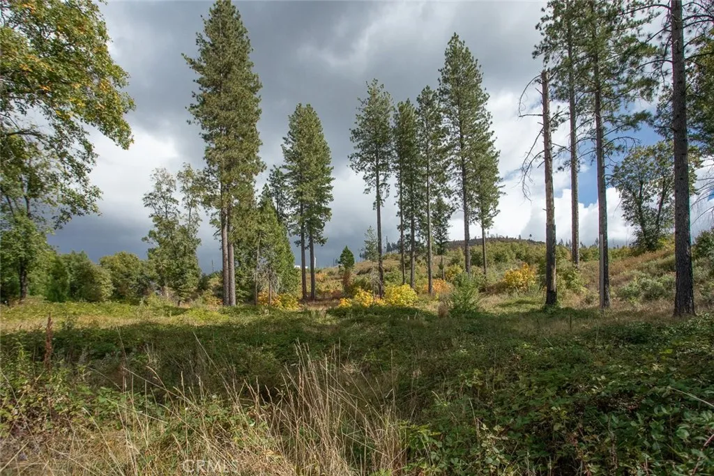 4023 Kakini Oroville, CA 95965 - Photo 20 of 54