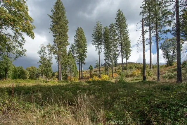 a view of outdoor space and trees all around