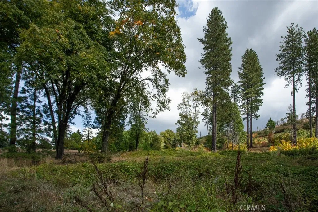 4023 Kakini Oroville, CA 95965 - Photo 22 of 54