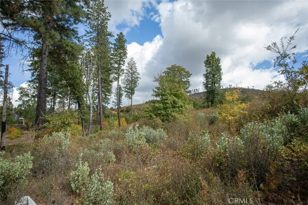 4023 Kakini Oroville, CA 95965 - Photo 30 of 54