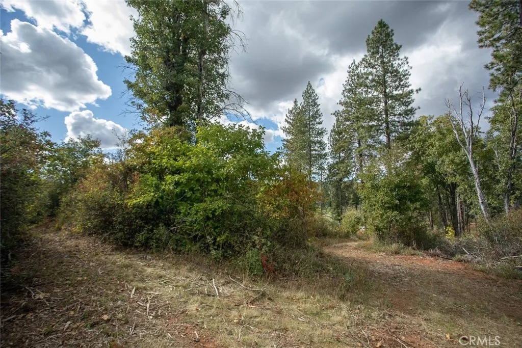 4023 Kakini Oroville, CA 95965 - Photo 35 of 54