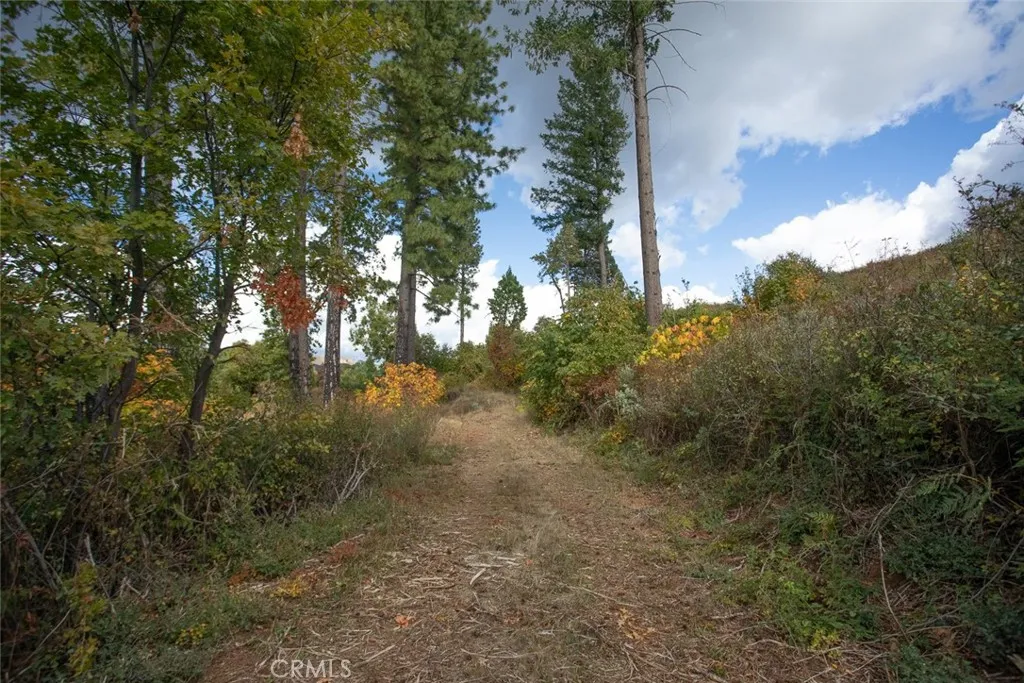 4023 Kakini Oroville, CA 95965 - Photo 37 of 54