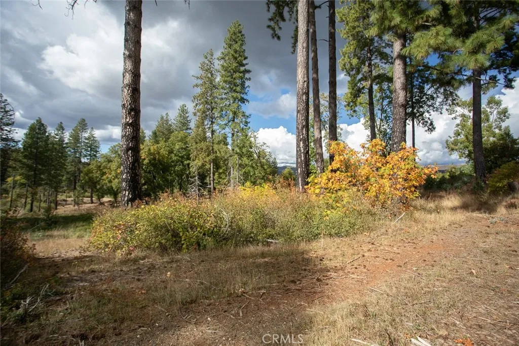 4023 Kakini Oroville, CA 95965 - Photo 38 of 54