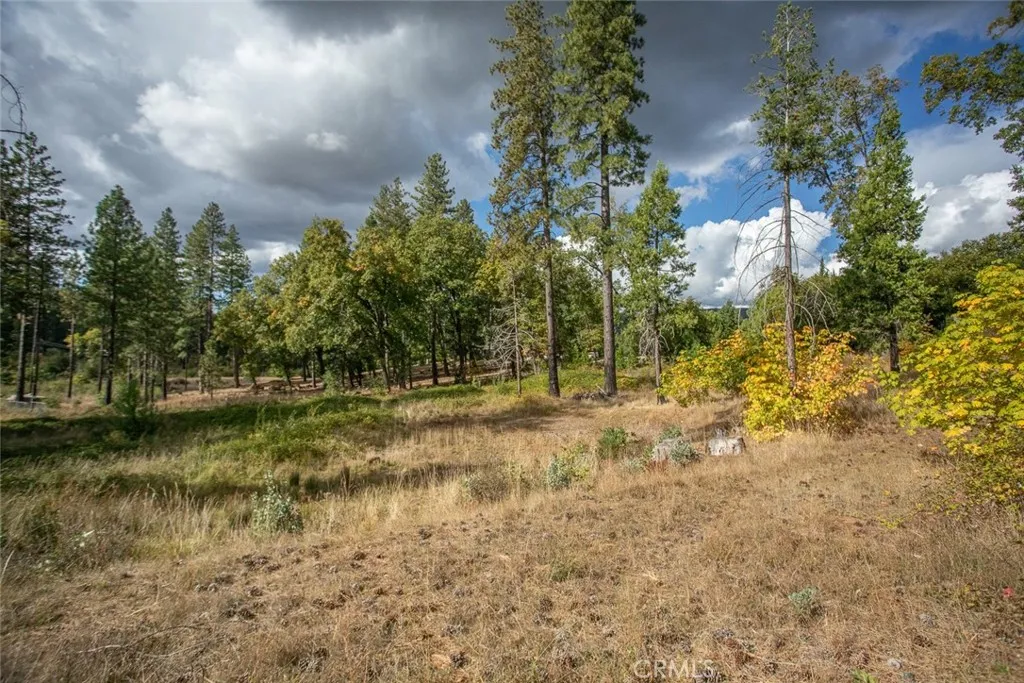 4023 Kakini Oroville, CA 95965 - Photo 39 of 54