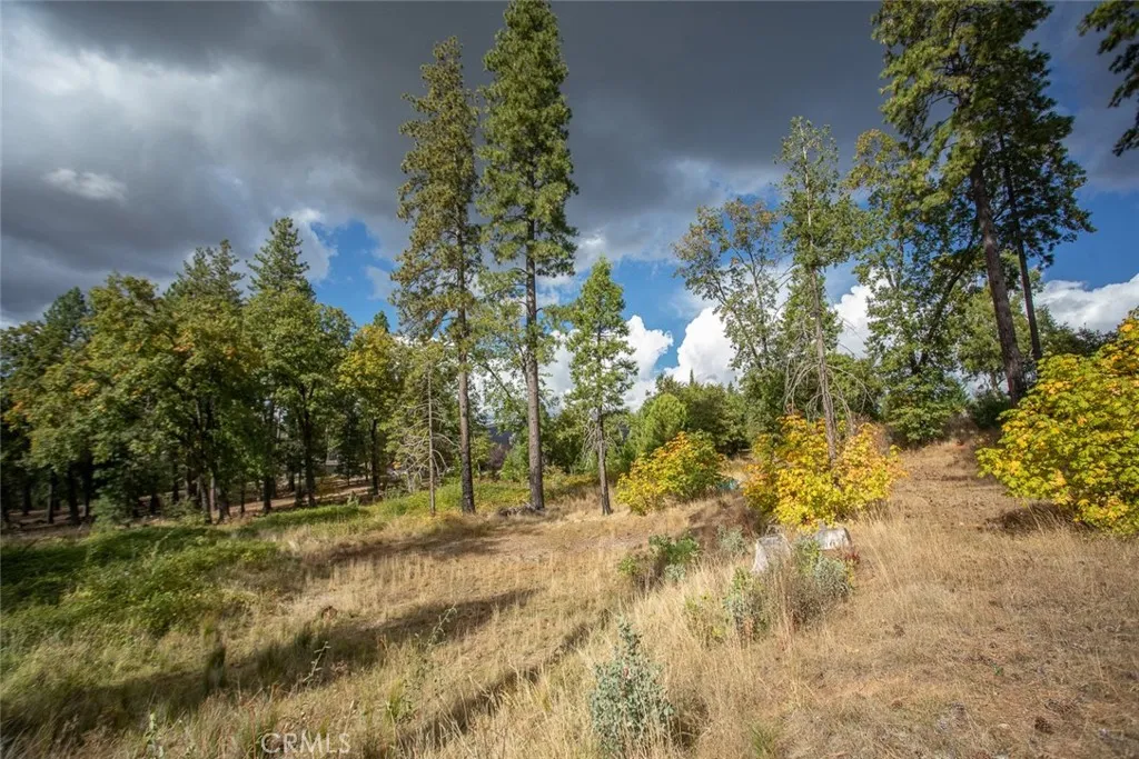 4023 Kakini Oroville, CA 95965 - Photo 40 of 54