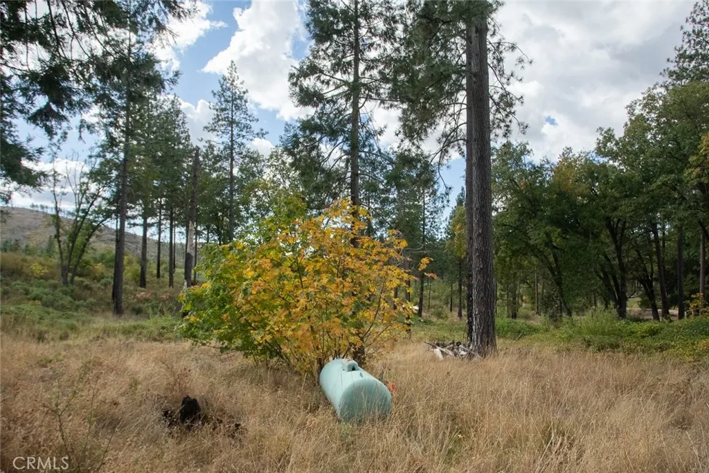 4023 Kakini Oroville, CA 95965 - Photo 43 of 54