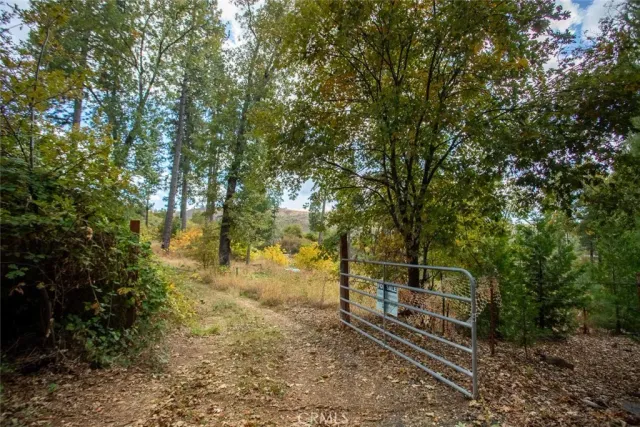 a view of backyard with green space