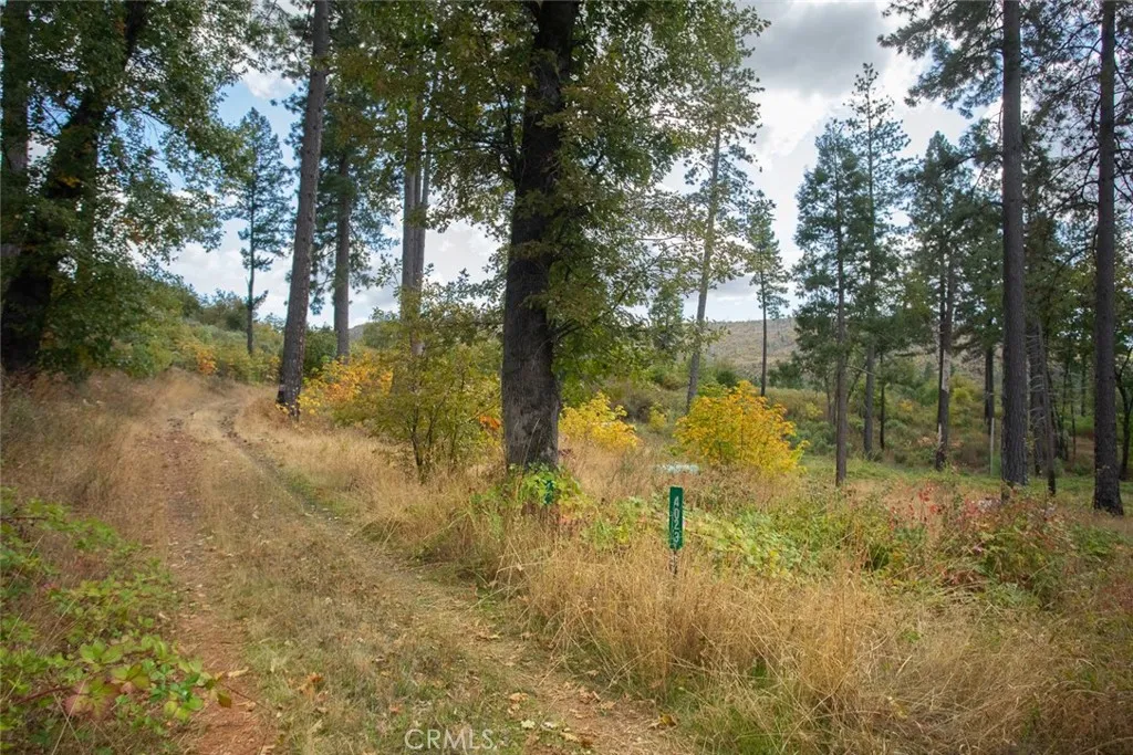 4023 Kakini Oroville, CA 95965 - Photo 46 of 54