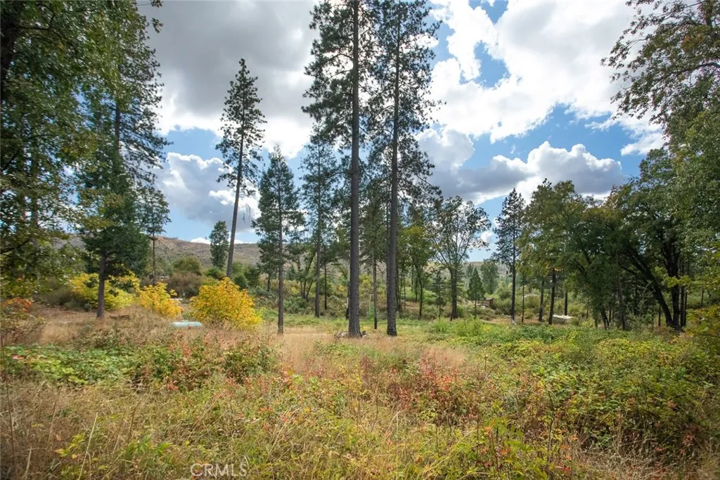 4023 Kakini Oroville, CA 95965 - Photo 47 of 54