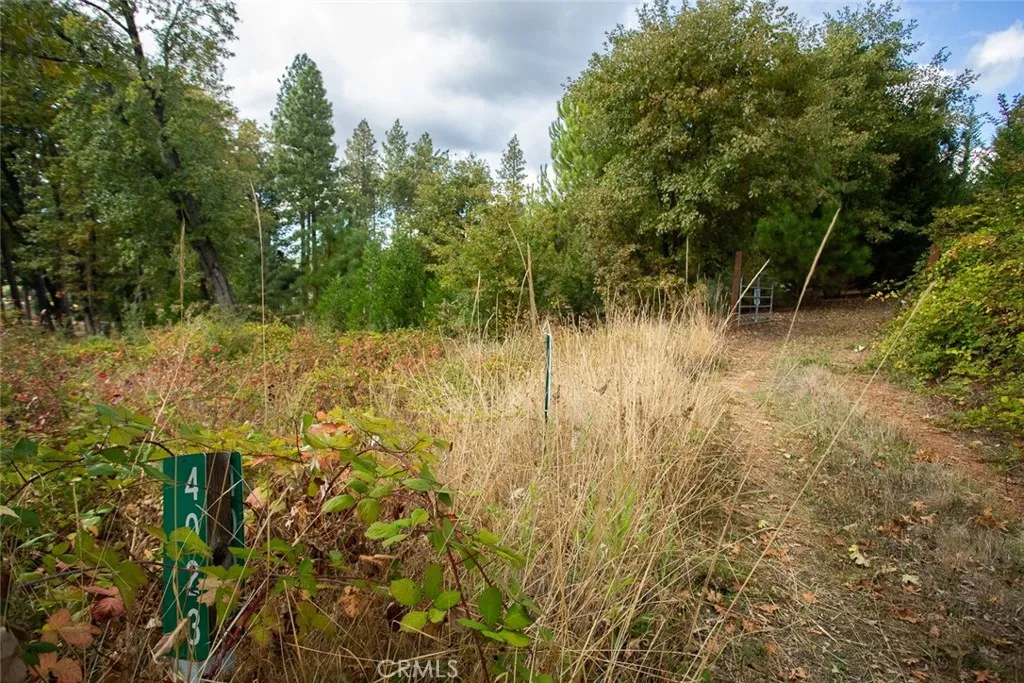 4023 Kakini Oroville, CA 95965 - Photo 49 of 54