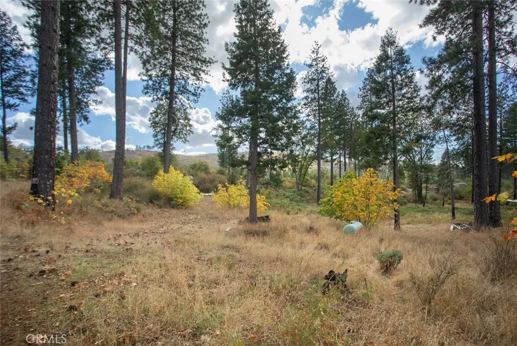 4023 Kakini Oroville, CA 95965 - Photo 50 of 54