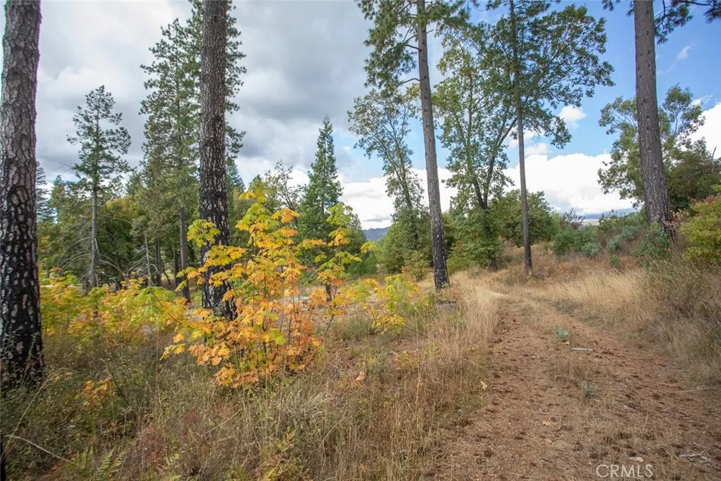 4023 Kakini Oroville, CA 95965 - Photo 51 of 54