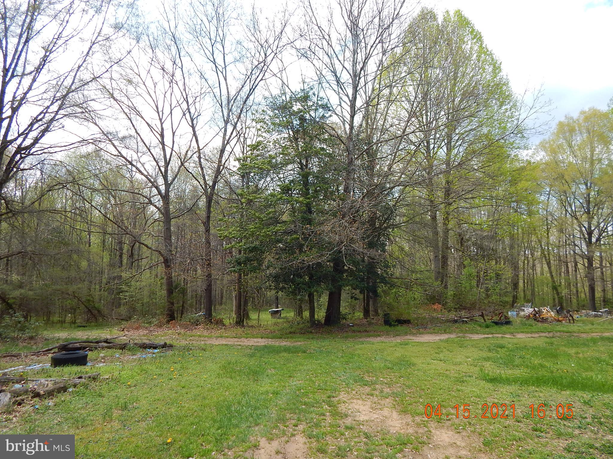 13520 Sillamon Road Goldvein, VA 22720 - Photo 10 of 22 Gallery Image 10