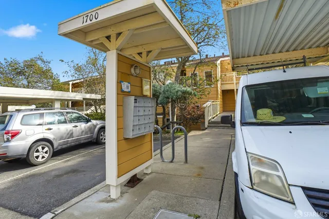 a view of a park with large trees