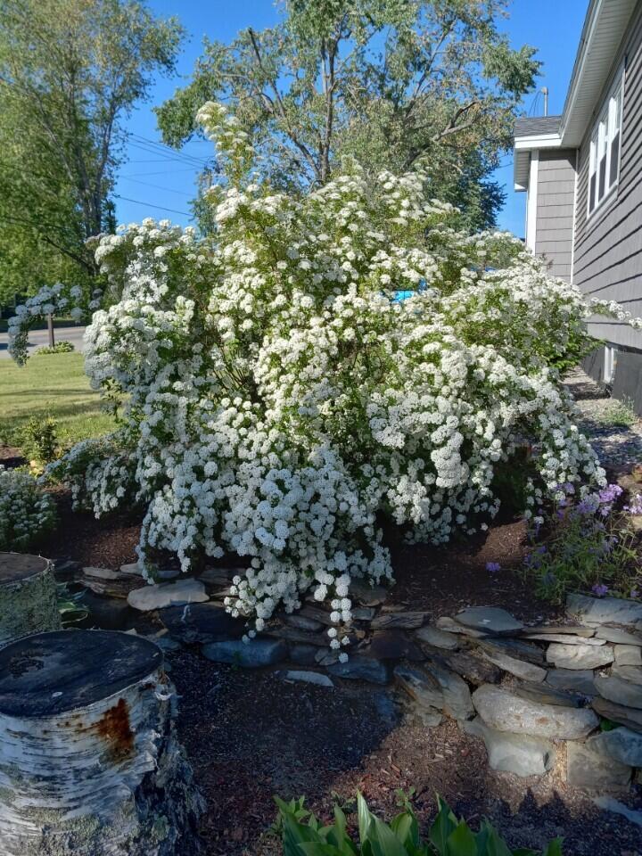 72 Exeter Road Corinth, ME 04427 - Photo 15 of 57 2C1F622D-0CA0-485B-9735-8E0929D483C1