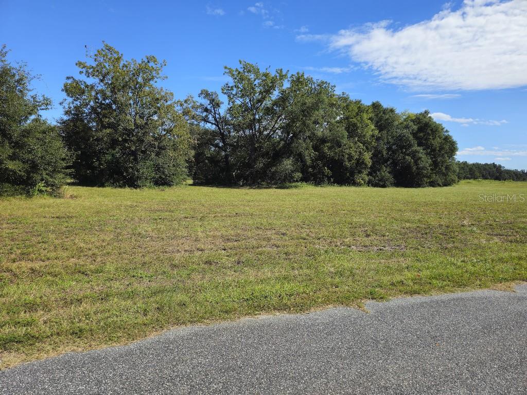 a view of a field with an ocean view