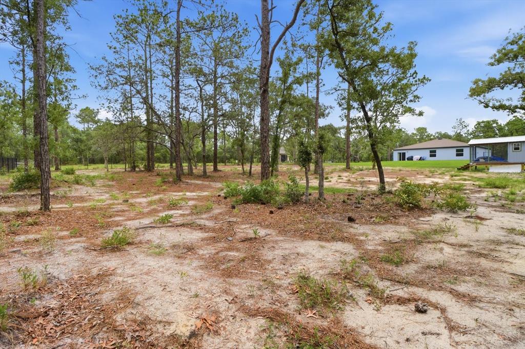 16125 Magpie Road Weeki Wachee, FL 34614 - Photo 41 of 50