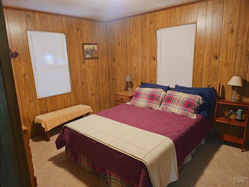 114 Silvercliffe Drive Rye, CO 81069 - Photo 12 of 13