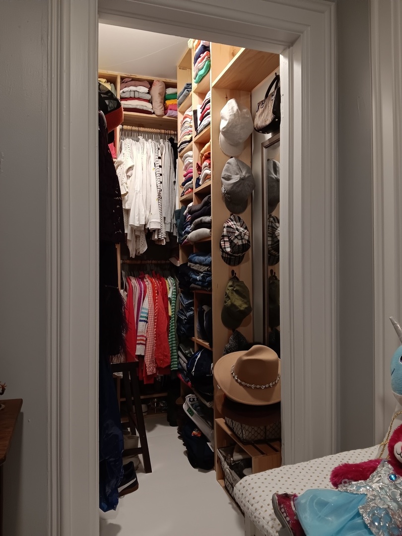 509 South Madison Street Morrison, IL 61270 - Photo 39 of 43 a view of walk in closet with clothes and shoes