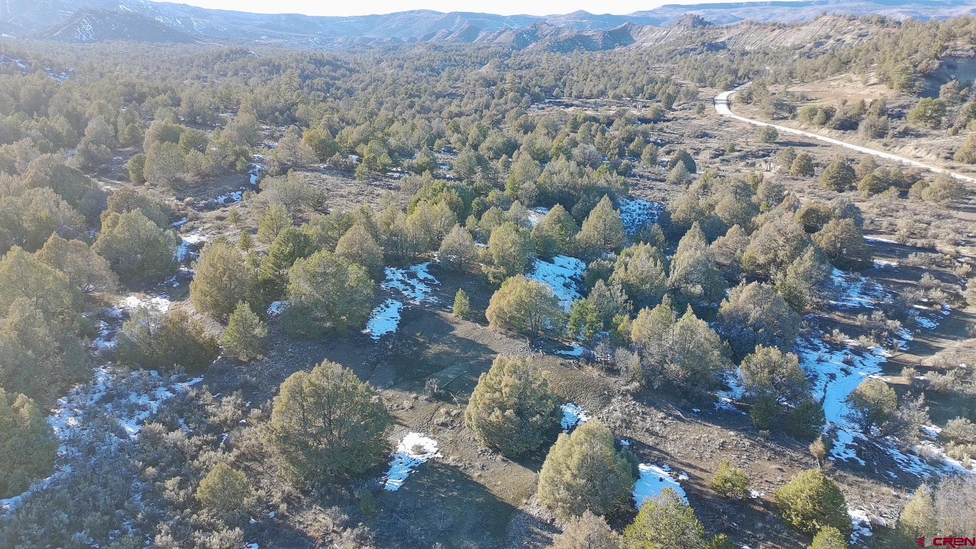 1479 La Posta Canyon Road Durango, CO 81303 - Photo 5 of 9 a view of a bunch of trees