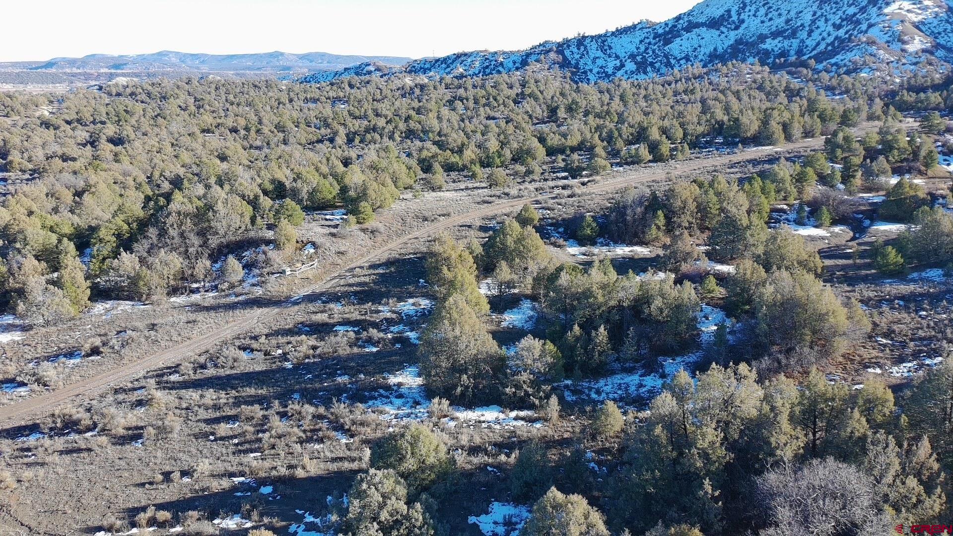 1479 La Posta Canyon Road Durango, CO 81303 - Photo 6 of 9 a view of a forest with a mountain
