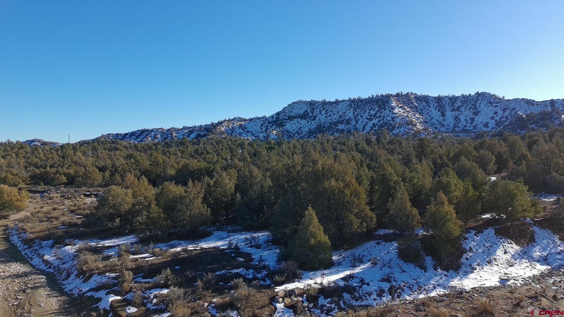 1479 La Posta Canyon Road Durango, CO 81303 - Photo 9 of 9 a view of a city with a mountain