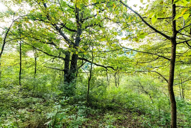 $495,000 | 11565 Highway 18, Prairie du Chien, WI 53821