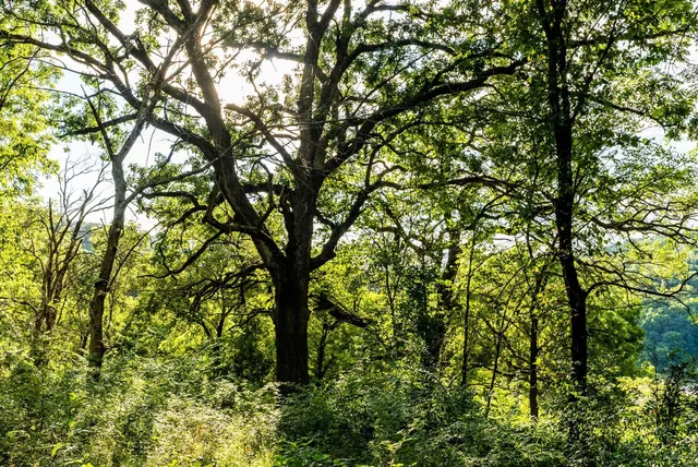 $495,000 | 11565 Highway 18, Prairie du Chien, WI 53821