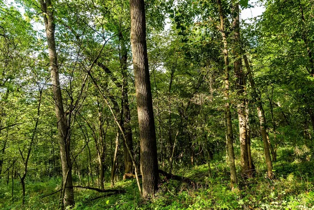 $495,000 | 11565 Highway 18, Prairie du Chien, WI 53821