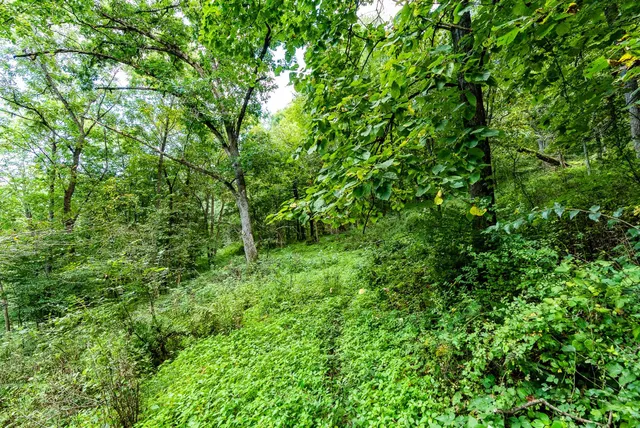 $495,000 | 11565 Highway 18, Prairie du Chien, WI 53821