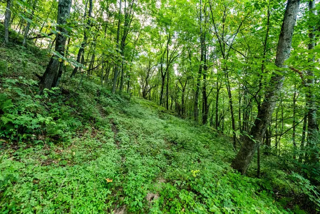 $495,000 | 11565 Highway 18, Prairie du Chien, WI 53821