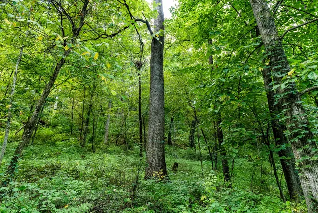 $495,000 | 11565 Highway 18, Prairie du Chien, WI 53821